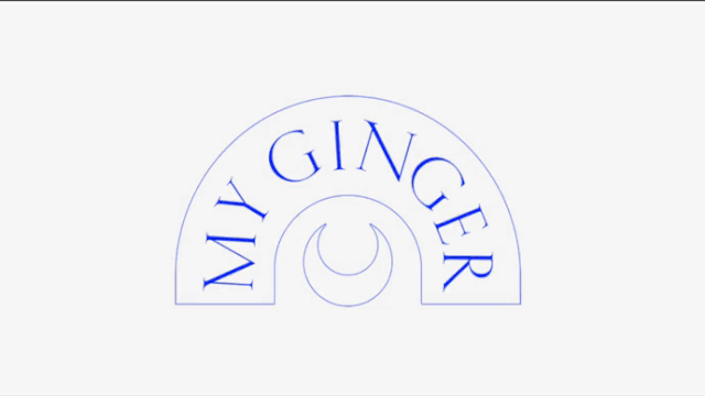 Video presentation of the project