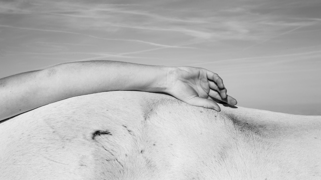 Image de couverture de la collecte CORPS À CORPS - Joanna Seelig