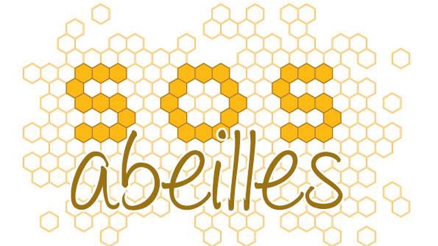 Cover image of the project S.O.S abeille