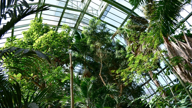 Cover image of the project Serre de jardin autonome