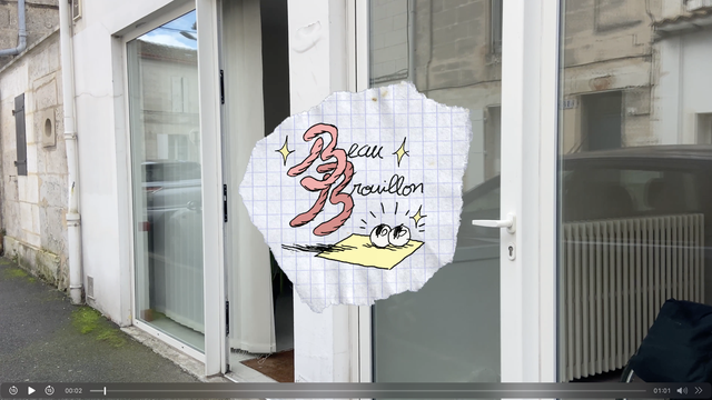 Video presentation of the project