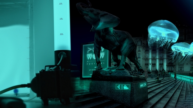 Video di presentazione del progetto