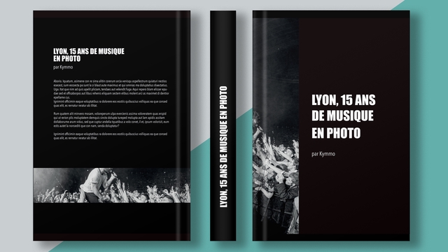 Image de couverture de la collecte Lyon, 15 ans de musique en photo