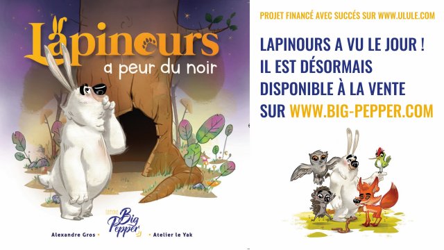 Cover image of the project LAPINOURS A PEUR DU NOIR