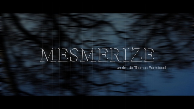 Cover image of the project MESMERIZE
