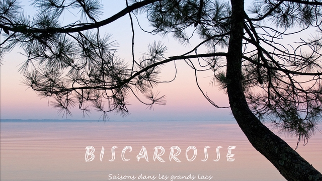 Cover image of the project Biscarrosse - Livre de photographies
