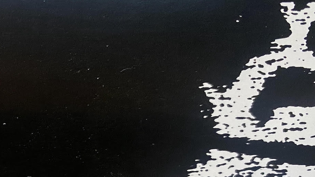 Cover image of the project Édition en vinyle de l'album "Dog" des Baptist Generals