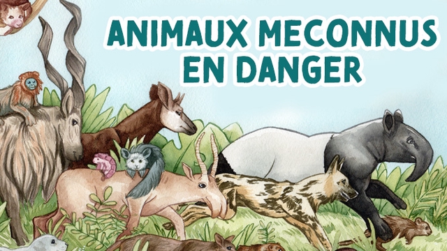 Image de couverture de la collecte Animaux méconnus en danger
