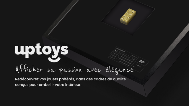 Video presentation of the project