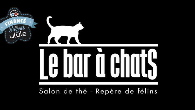 Image de couverture de la collecte Le bar à chats Perpignan