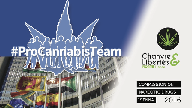 Video presentation of the project