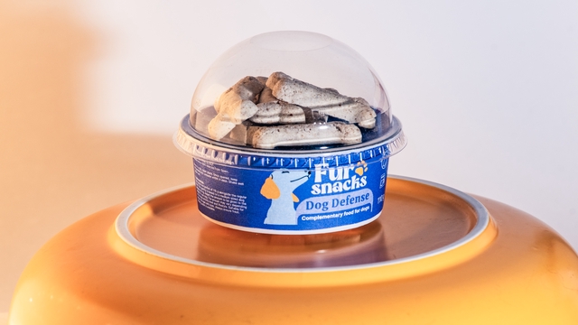 The first breakfast ritual for dogs