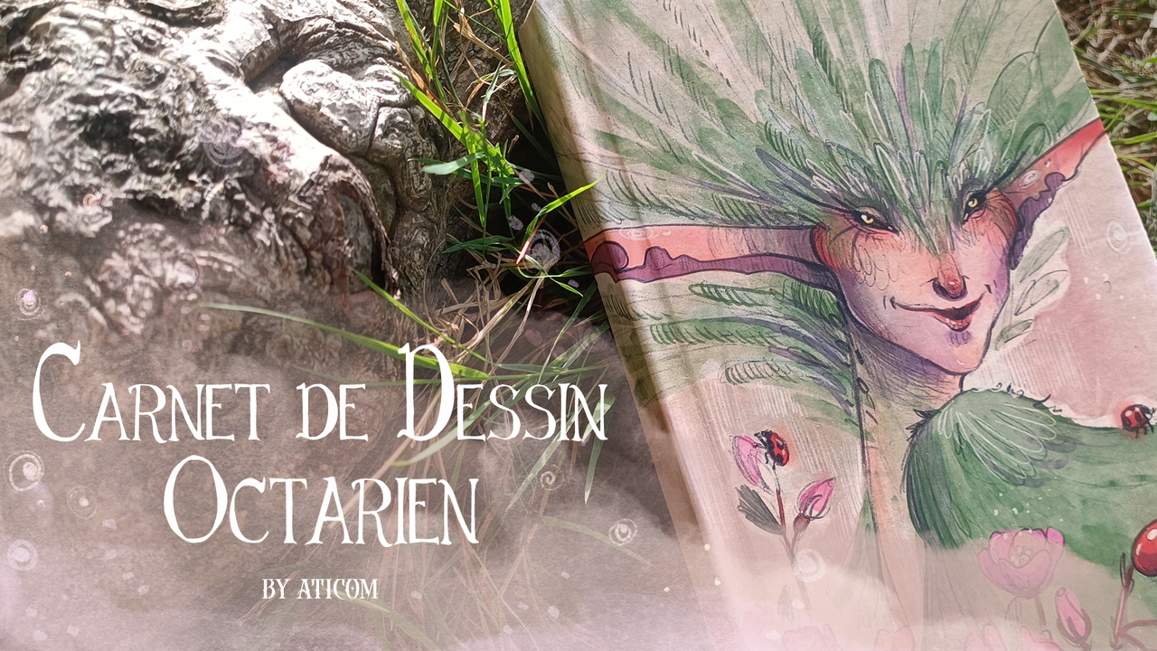 Carnet de Dessin Octarien - Précommandes dédicacées