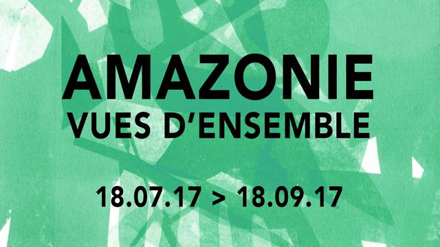 Cover image of the project Amazonie, vues d'ensemble