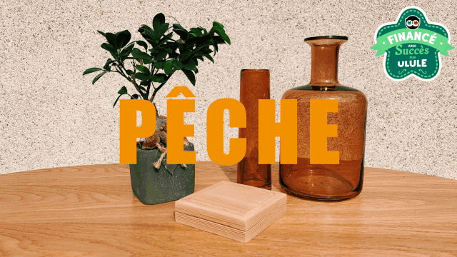 Cover image of the project Pêche 🍑