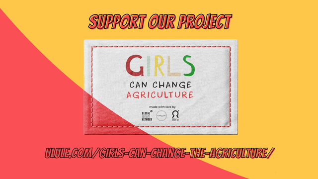 Video presentation of the project