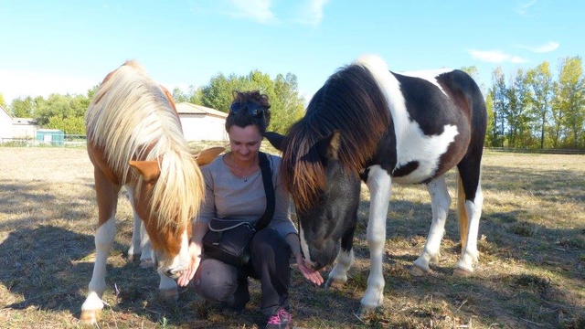 Cover image of the project L'équicie: Quand l'Homme rencontre le Cheval