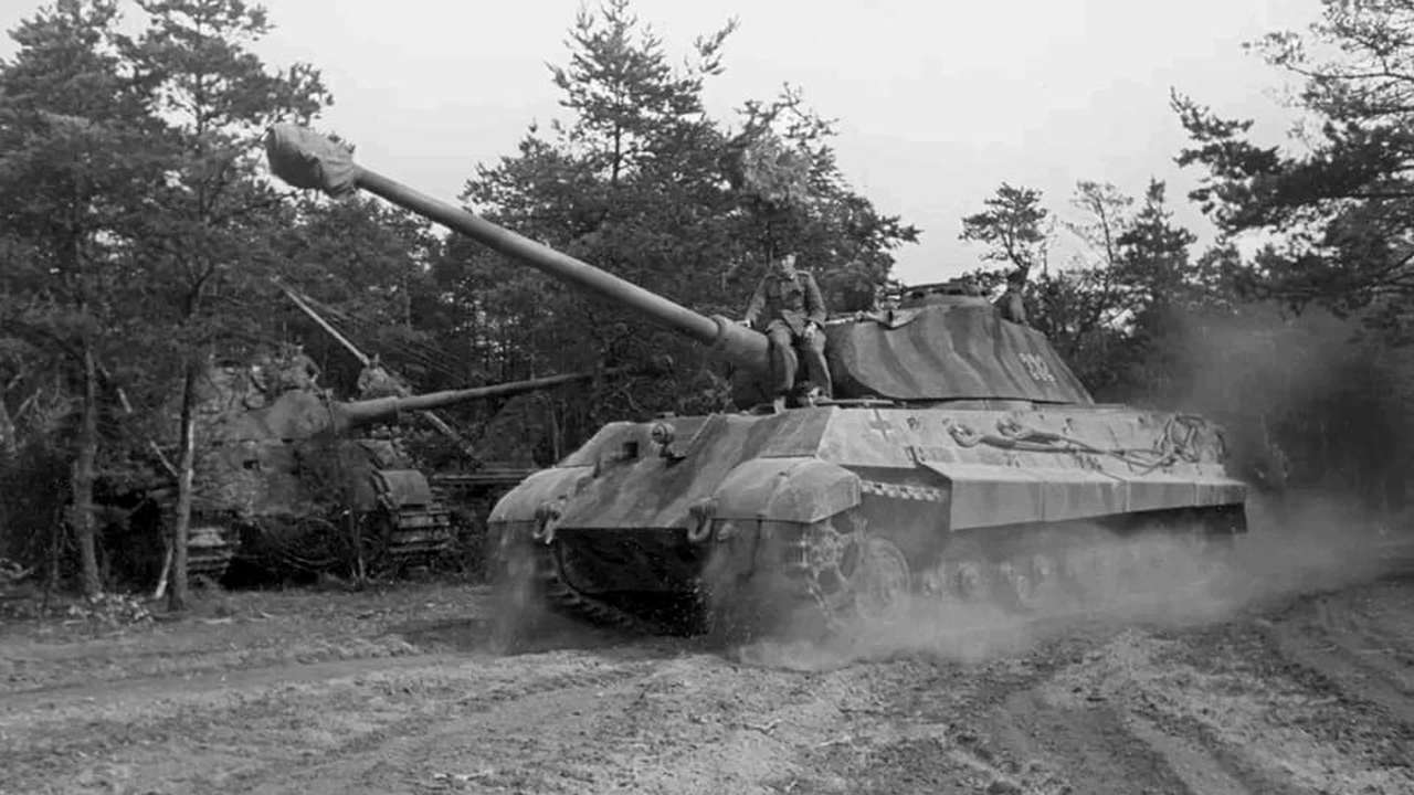 Livre Tiger II West Front 1944-1945 📖