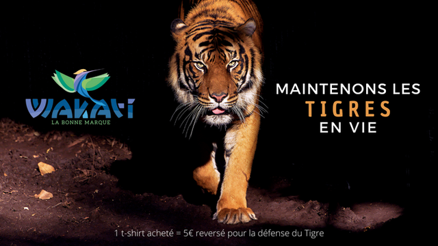 Vidéo de présentation de la collecte