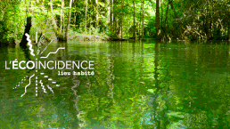 L'écoïncidence, a third space with a positive impact