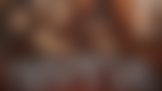 LA GUERRE DE TRENTE ANS - Sans pubs