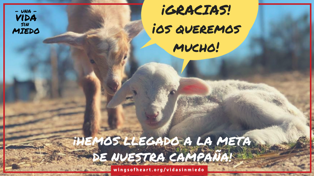 Cover image of the project #UnaVidaSinMiedo