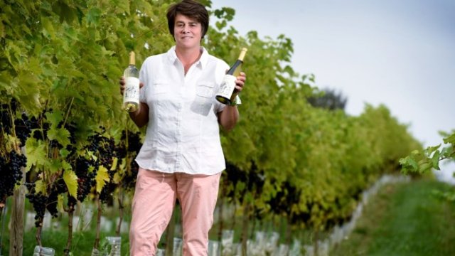 Cover image of the project Le vignoble de Carole