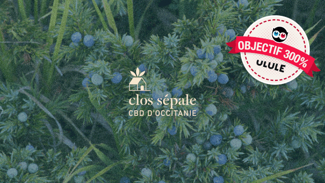Cover image of the project Clos Sépale - les huiles CBD d'Occitanie
