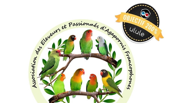 Imagen de portada del proyecto Association des Éleveurs et Passionnés d'Agapornis