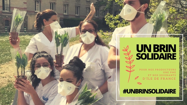 Image de couverture de la collecte Un Brin Solidaire