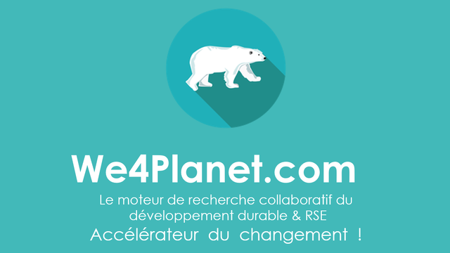 Video presentation of the project