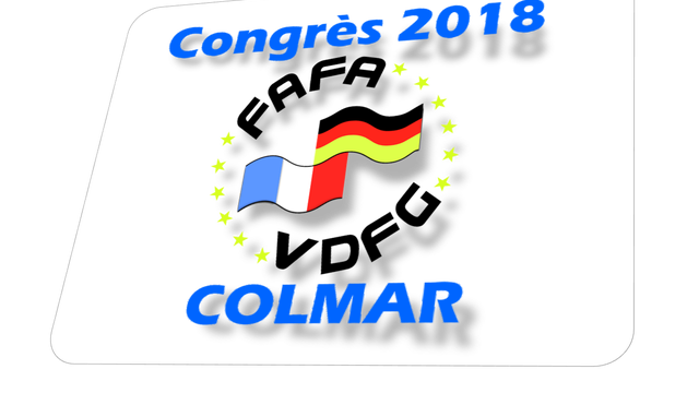 Cover image of the project Congrès FAFA-VDFG Colmar 2018