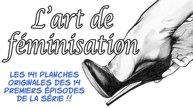 Cover image of the project L'art de Féminisation