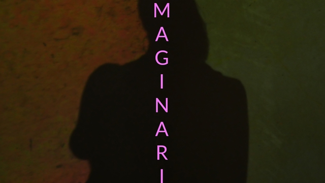 Immagine di copertina del progetto Imaginarium