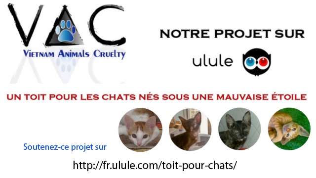 Video presentation of the project