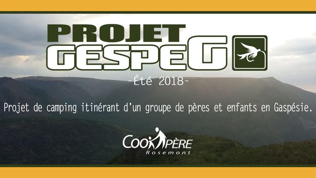 Videopresentatie van het project