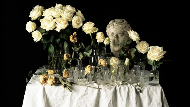 Cover image of the project Memento Mori
