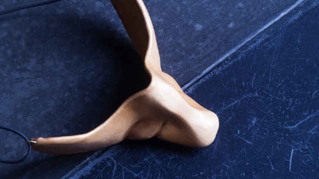 Cover image of the project Cyrano de Bergerac