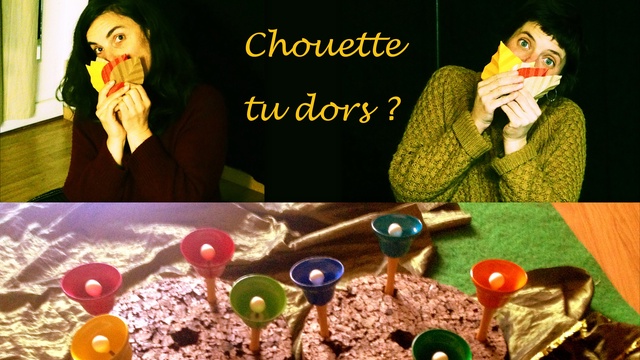 Cover image of the project Chouette, tu dors ?