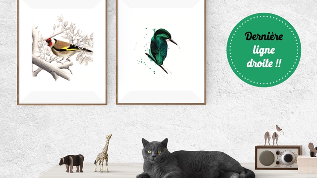 Cover image of the project Reproductions d'art