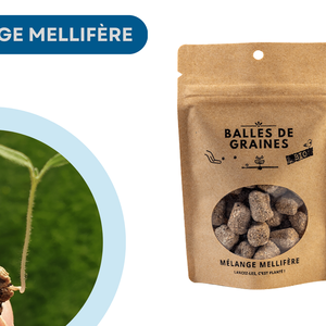 Balles de Graines - Mélange Mellifère (pour abeilles & autres pollinisateurs)