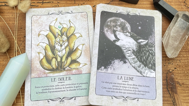 Cover image of the project L'oracle des animaux magiques