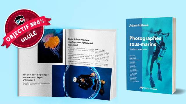 Cover image of the project Photographes sous-marins : 20 talents à découvrir