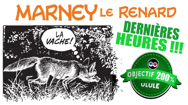 Cover image of the project MARNEY Le Renard