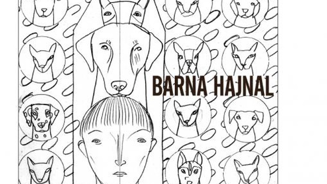 Cover image of the project Édition "Matin brun" de Franck Pavloff en Hongrie