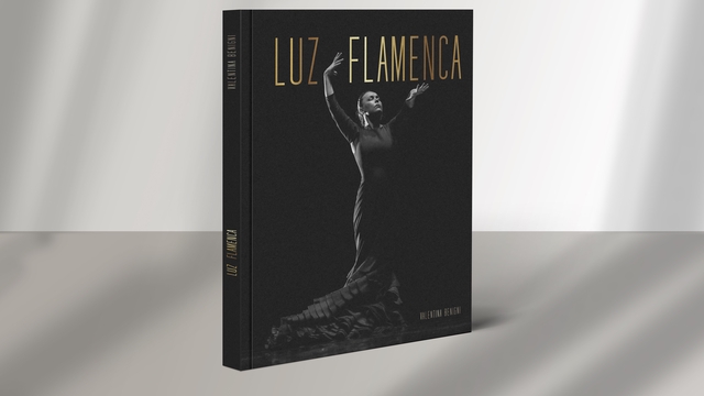 Imagen de portada del proyecto Livre photo d'art - LUZ FLAMENCA
