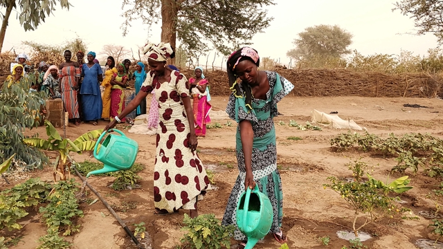 Image de couverture de la collecte Développement rural et entrepreneuriat féminin