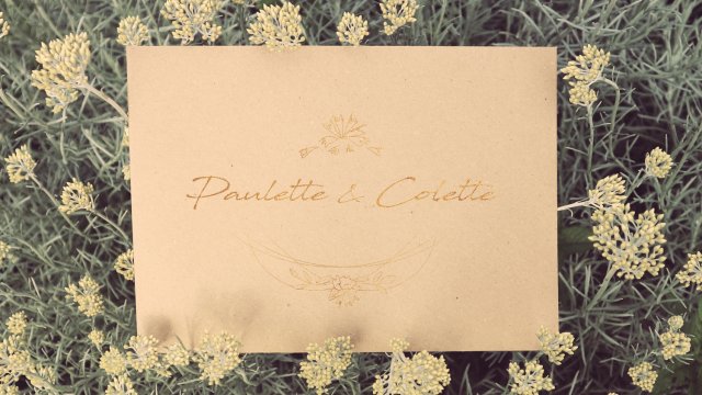 Image de couverture de la collecte Paulette & Colette