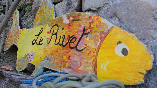 Cover image of the project Petit poisson...deviendra grand!