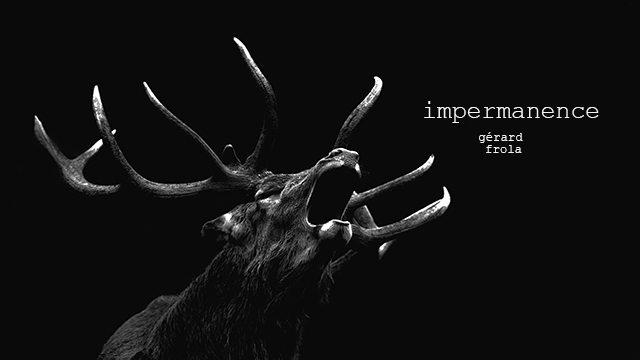 Cover image of the project Impermanence